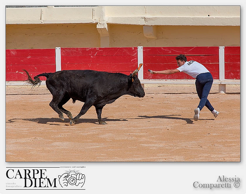 316-1620 x 1080---16L Camargue_2822.jpg